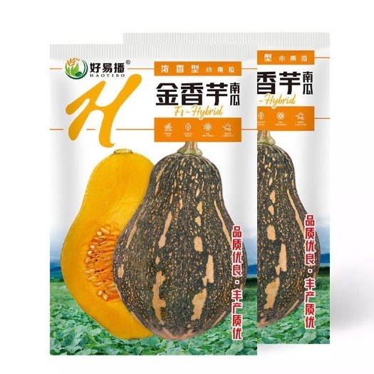 金香芋南瓜种子粉糯浓香甜四季春秋广东小南瓜蔬菜种籽孑绿沃农业