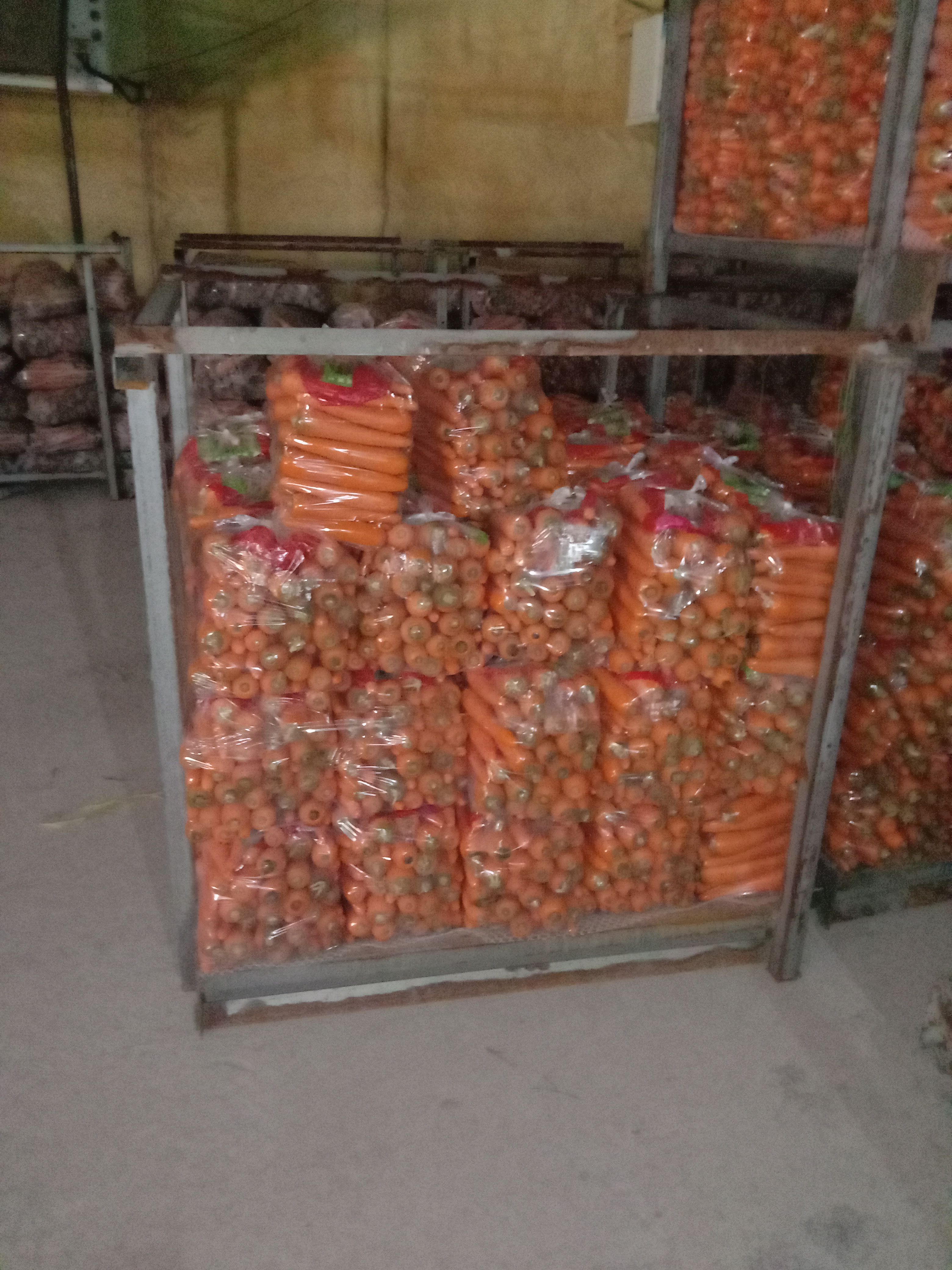 红皮胡萝卜  有机胡萝卜