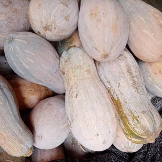 仁寿县二荆条  精品条椒厚皮椒，青皮椒