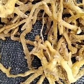 柳河县玉竹东北优质玉竹货一手货源产地直销