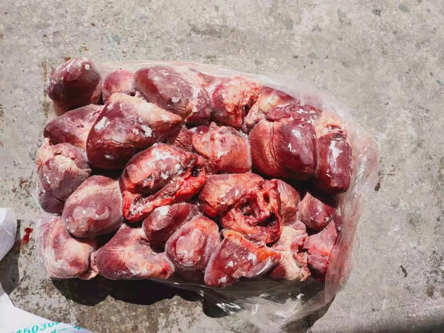 猪心，母猪猪心，母猪猪心，品质保证