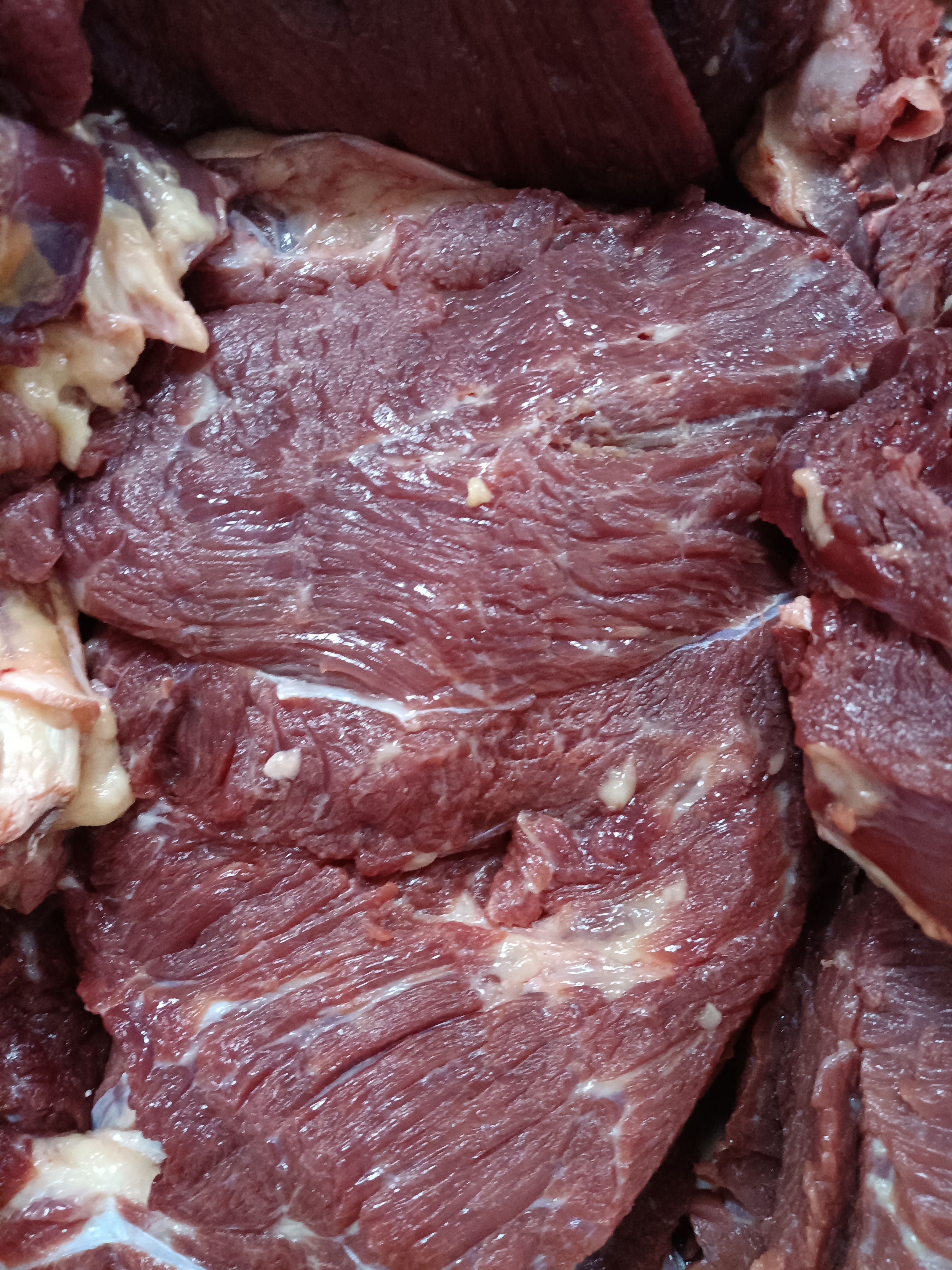  鲜驴肉@鲜驴肉批发厂家@鲜驴肉基地直供@鲜驴肉一手货源