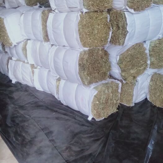 湖口县粽叶 