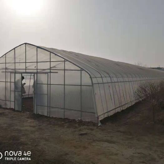 德州种植大棚  春秋棚，造价低，方便管理。