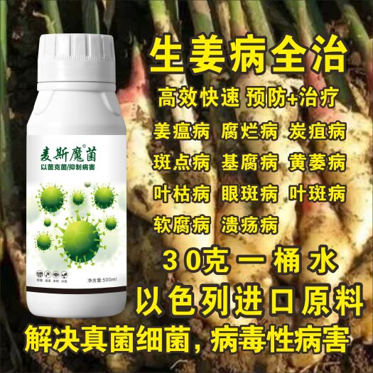 郑州生物菌肥发酵剂  生姜病全治生姜杀菌剂姜瘟病腐烂病炭蛆病斑点病基腐病黄萎病软腐