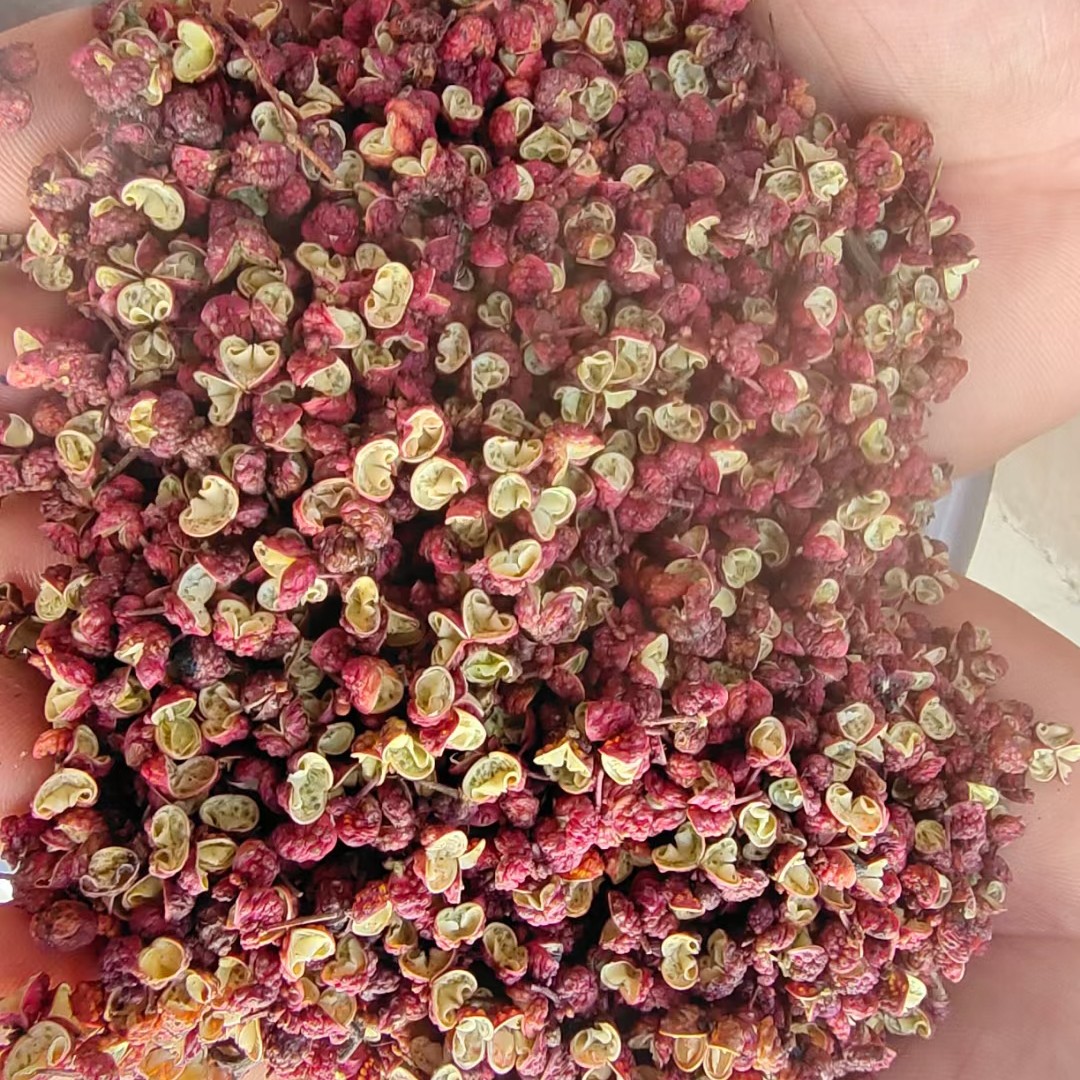 四川茂汶红麻椒一件起批 2025新货,全国包邮
颗颗香麻