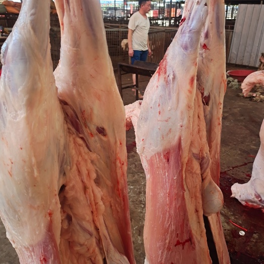 威宁县 羊肉，白条羊。