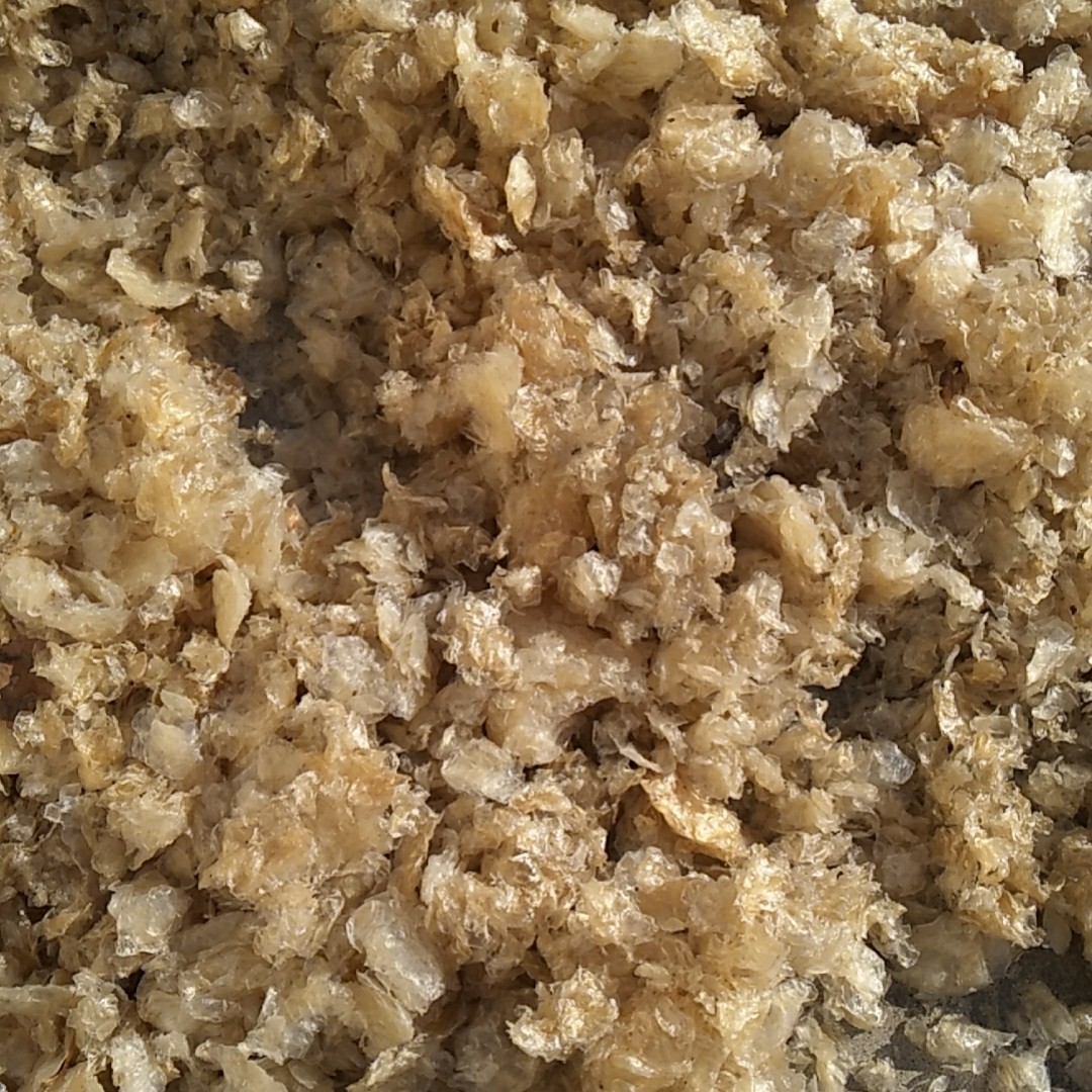 鱼粉 鸡 鸭 猪 鱼 虾  鹌鹑