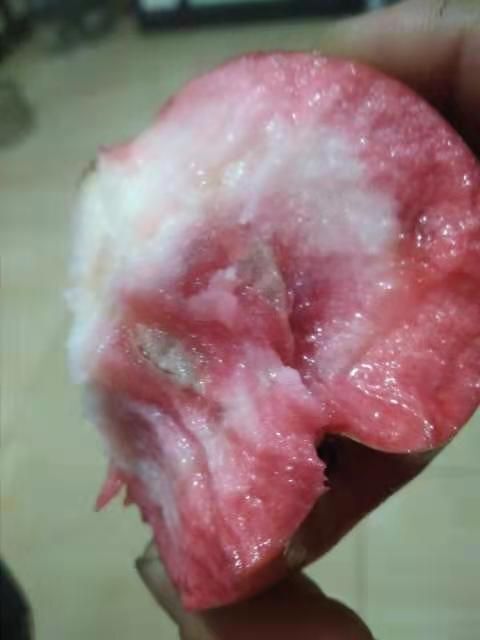 宽甸县花青素苹果《红色之爱119-06》产地辽宁丹东。