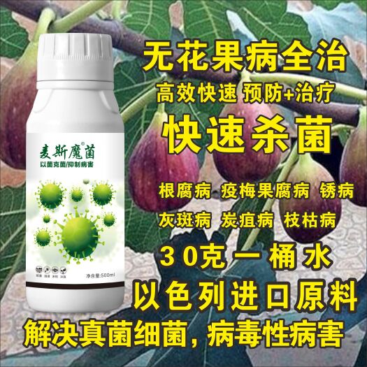郑州生物菌肥发酵剂  无花果根腐病疫梅果腐病锈病灰斑病炭疽病枝枯病