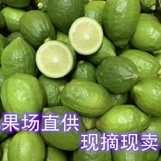 广东香水柠檬青柠檬新鲜水果无籽奶茶店专用批发商用