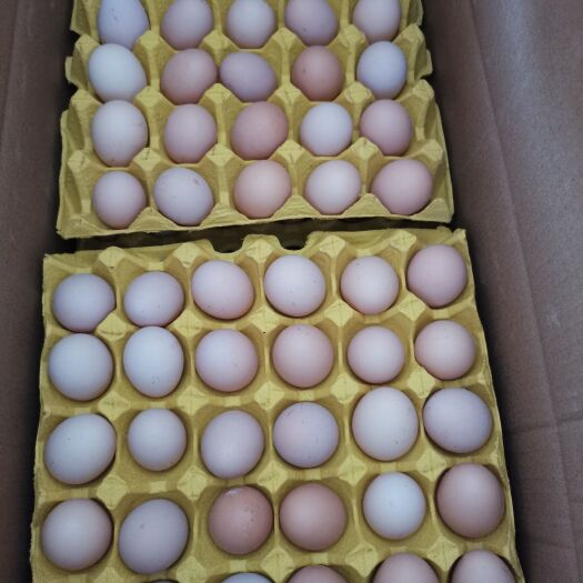 京山市土鸡蛋，粉绿组合或全粉壳（包邮