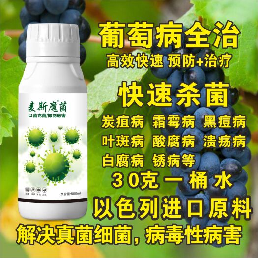 郑州生物菌肥发酵剂 葡萄病全治葡萄杀菌剂快速杀菌微生物菌剂叶斑病炭蛆病霜霉病锈病