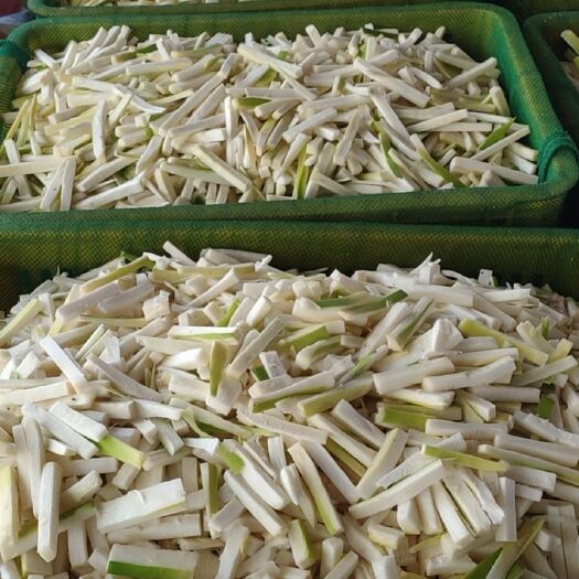 英德市麻笋  笋丝笋片工厂大量供货