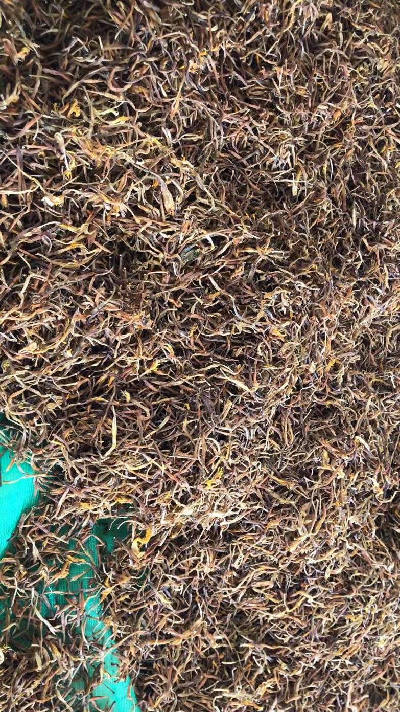 新鲜黄花菜 大量出售鲜，干黄花菜