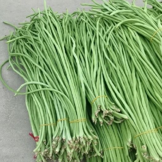 许昌绿翡翠长豆角 豆角