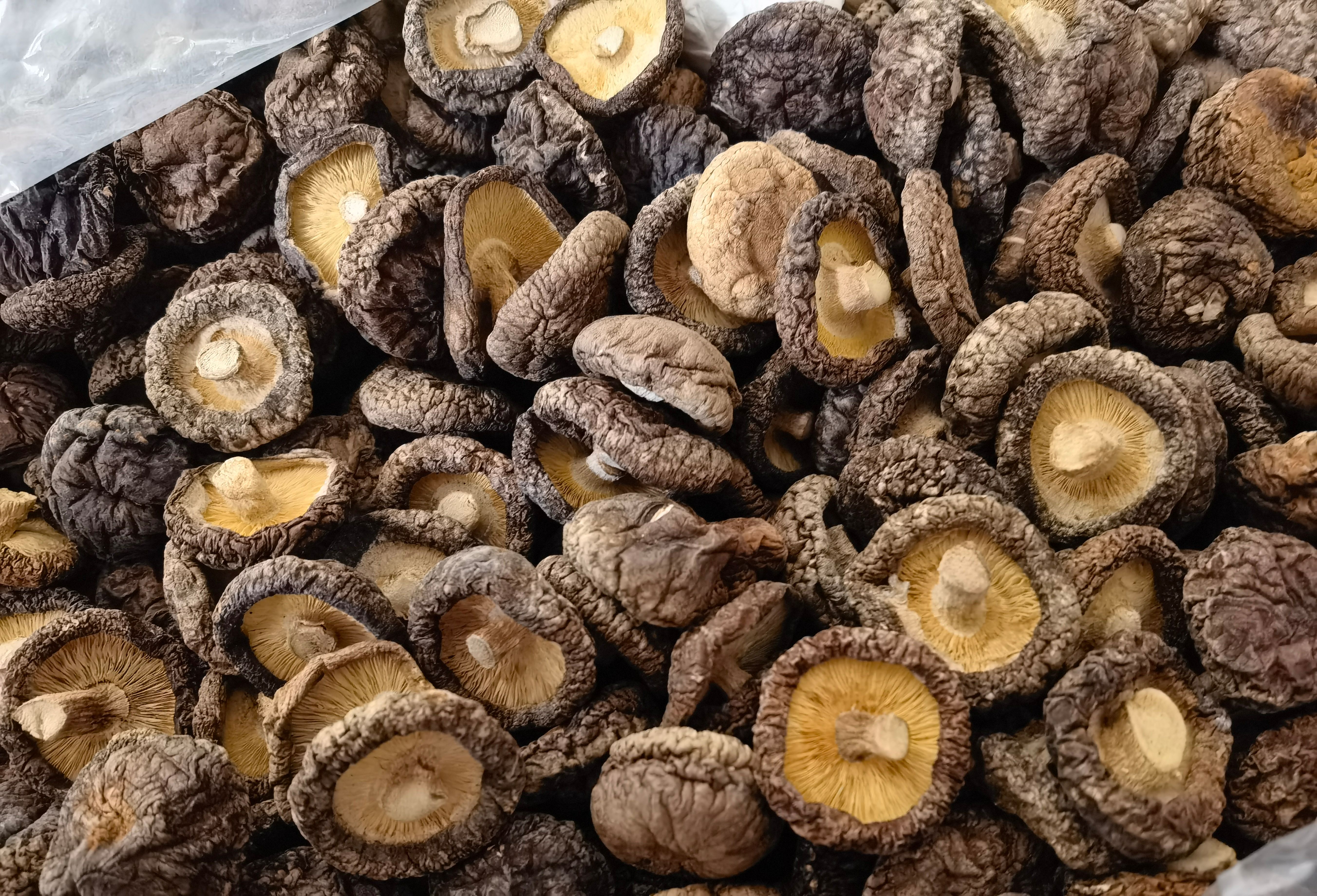 黑面菇 香菇产地直供各规格都有精品剪脚菇冬菇空气能烘干菇