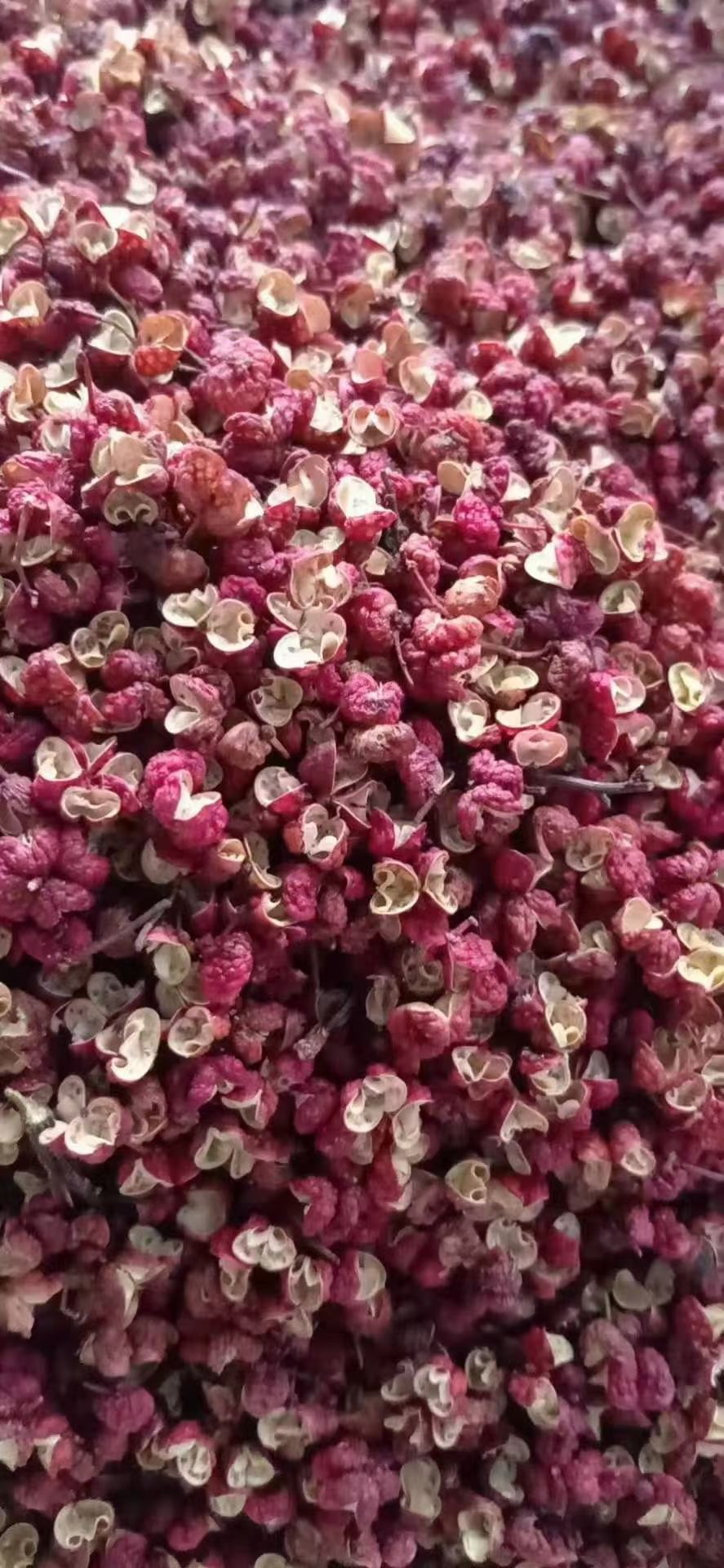 红花椒  红麻椒，超麻，香味浓