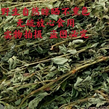 当季新货仙鹤草龙芽草阿婆采摘   不熏色无硫不打药