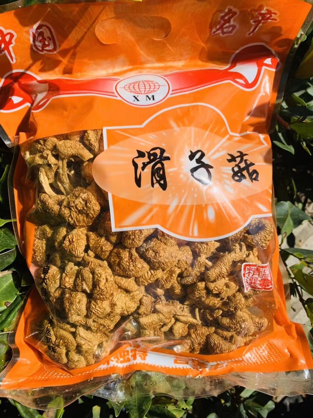 滑子菇干货 产地滑菇 珍珠菇干货 食用菌古田工厂直发