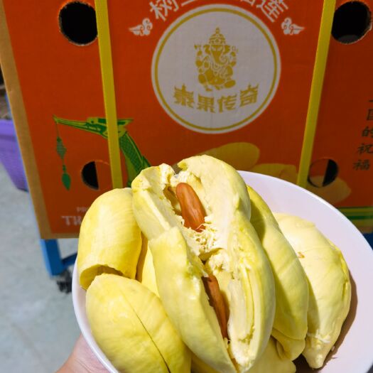 昆明金枕榴莲 树上熟金枕昆明市场620一箱50箱起订620