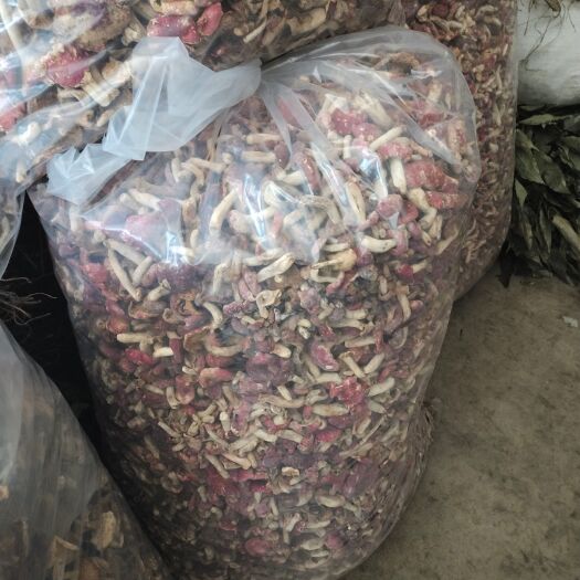 镇巴县 红菇