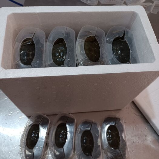 广饶县供应特肥大闸蟹