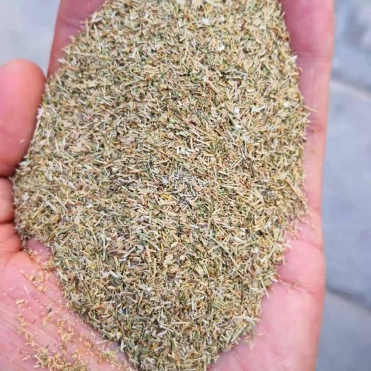 酒泉孜然沫子