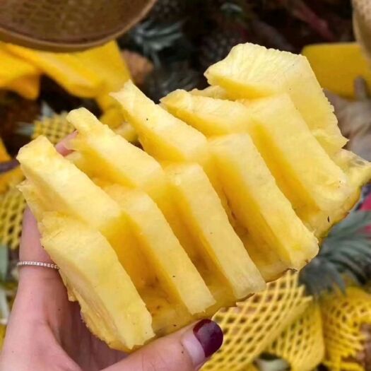 金平县菠萝