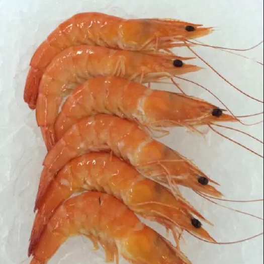 成都南美白对虾  单冻熟虾，熟虾全规格