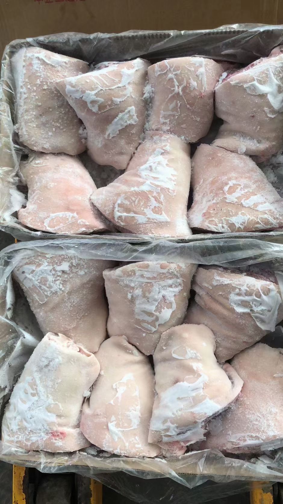 猪肘子  后肘，大量有货，9-12个小肘子也有，最低批发价