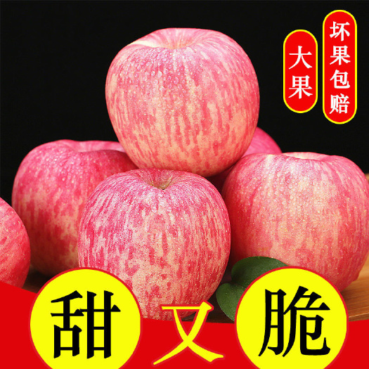 山东烟台红富士苹果冰糖心脆甜批发装栖霞大超大宗水果批发