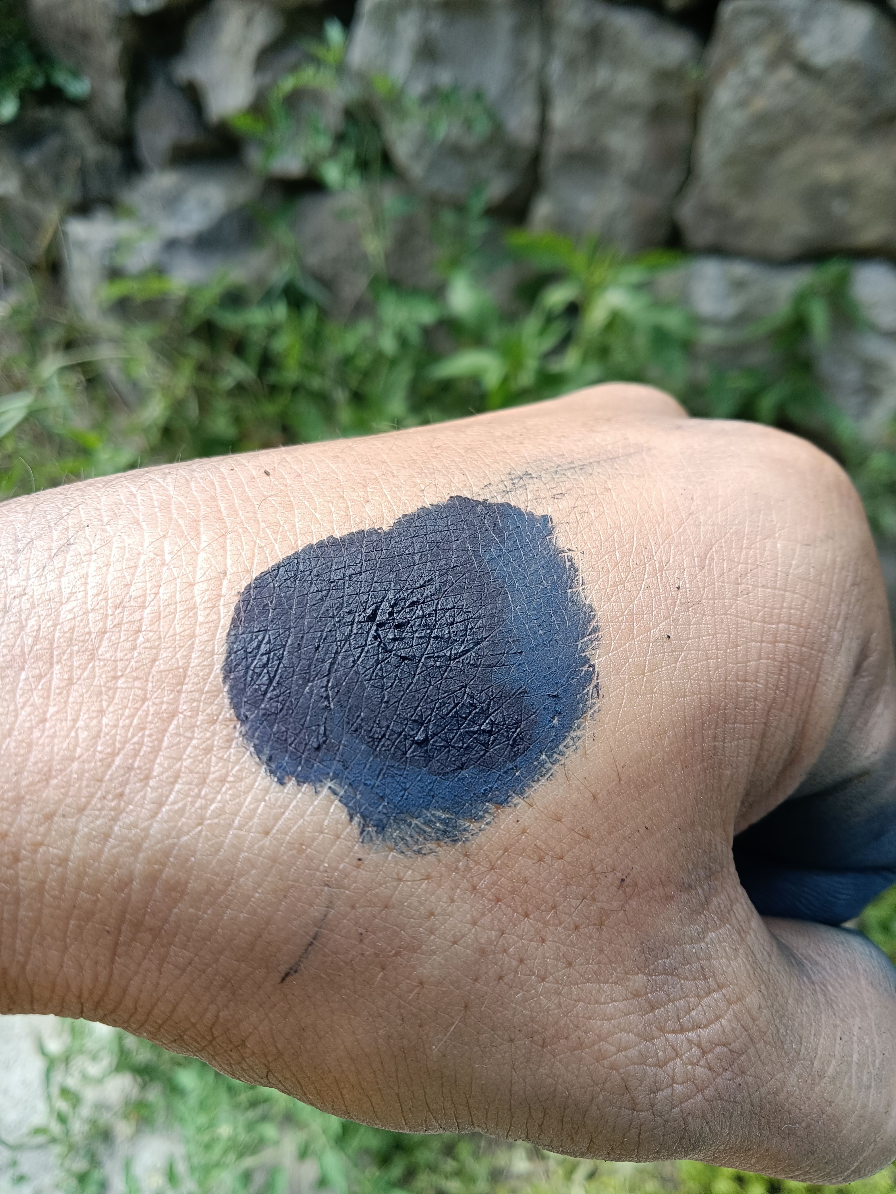 南板蓝根 蓝靛泥 ：天然染料