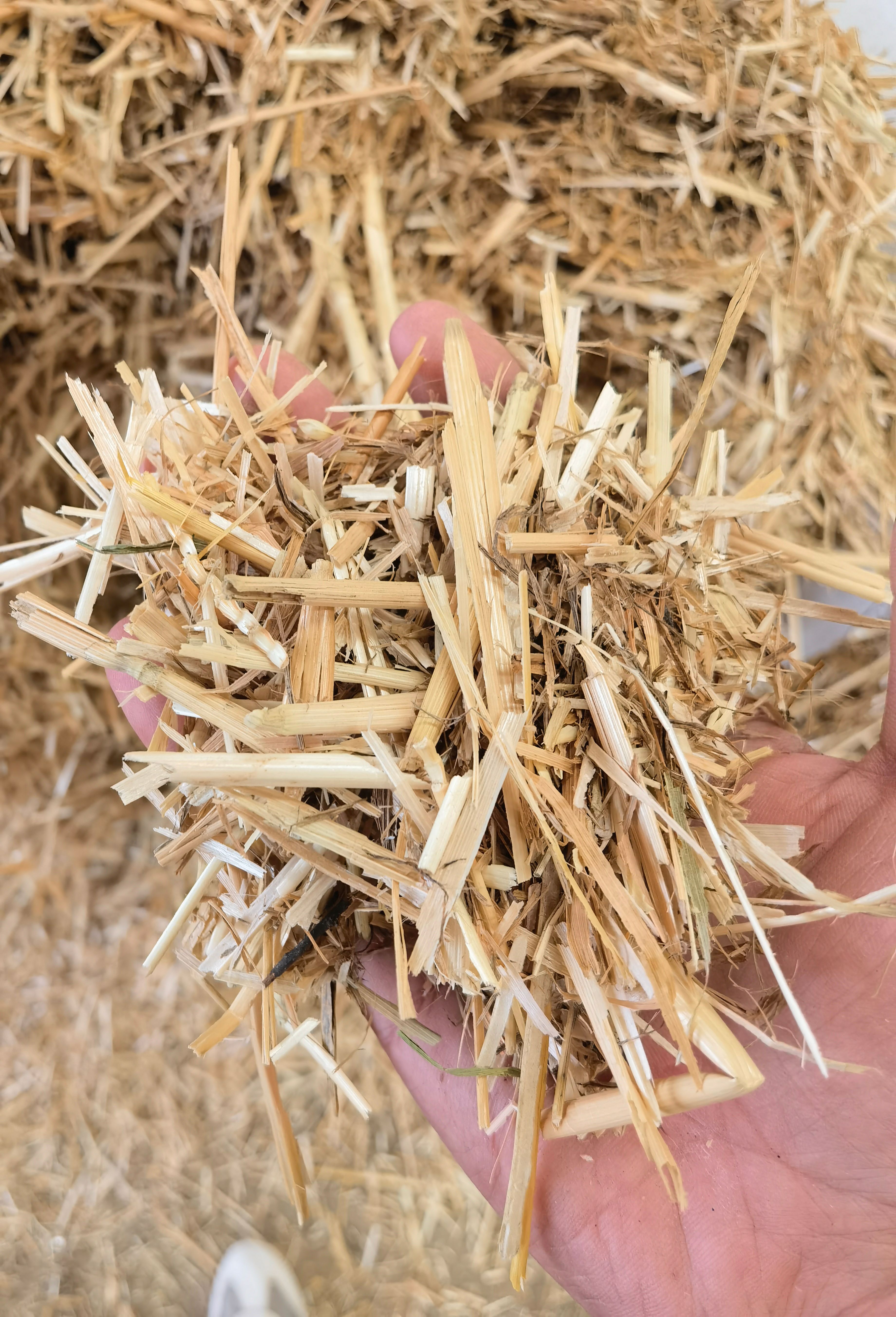 小麦秸秆