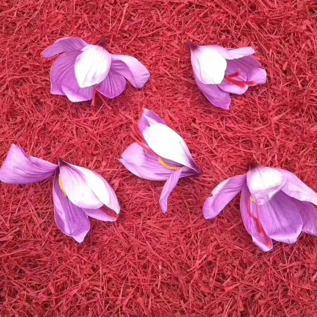 藏红花花丝  藏红花批发供货 规格齐全