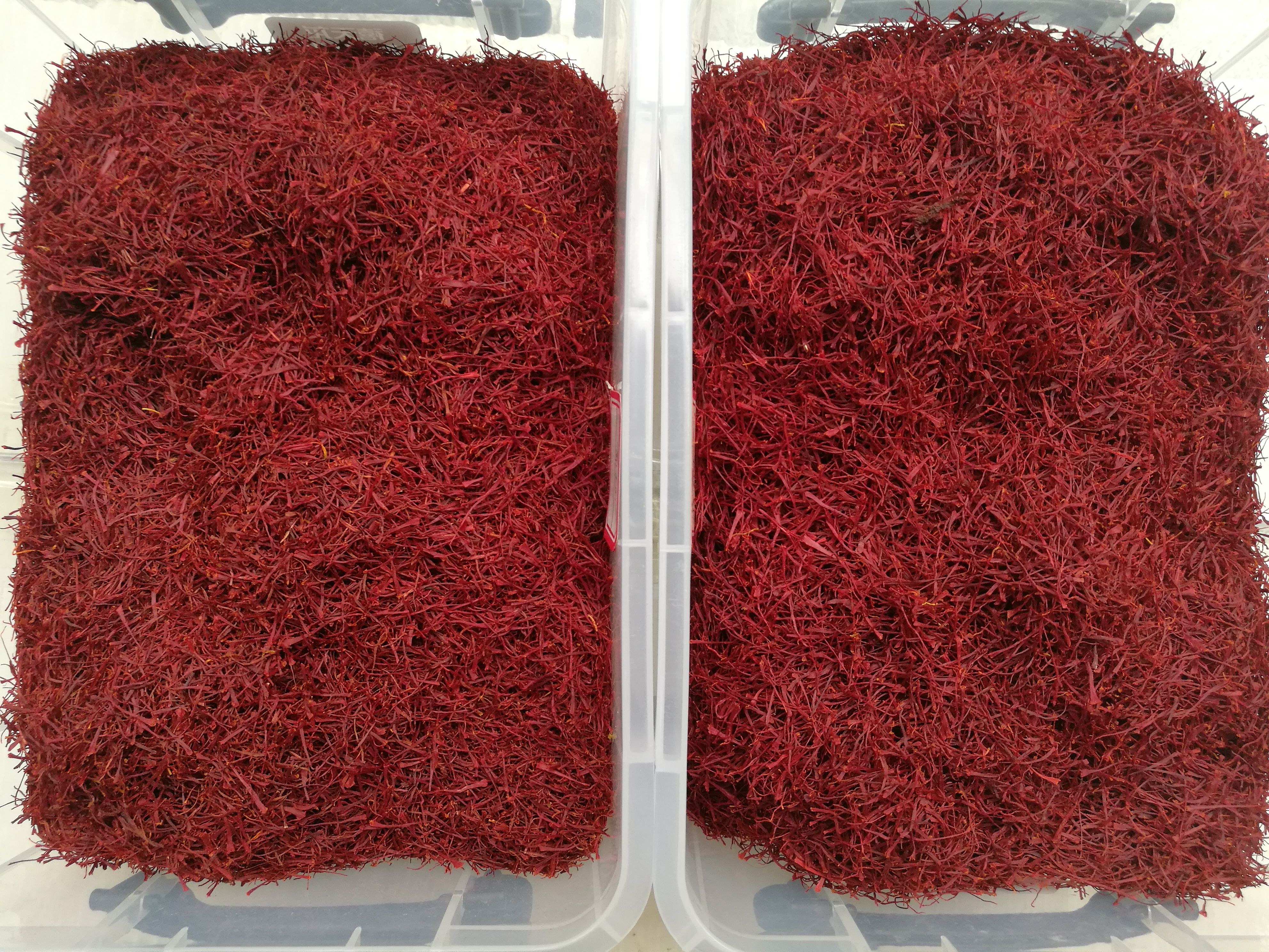 藏红花花丝  藏红花批发供货 规格齐全