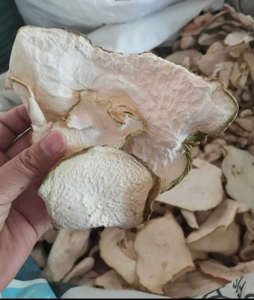 香橼果  香橼干片  佛手干片  可鲜果可烤干
