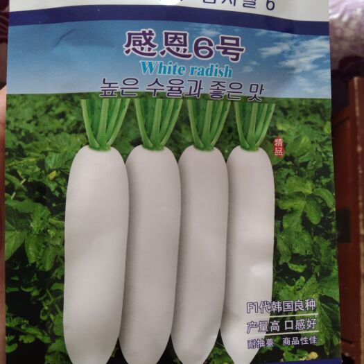 夏邑县水果萝卜种子  该品种生育期60-65天左右，表皮光滑，须根较少，口感甜脆，