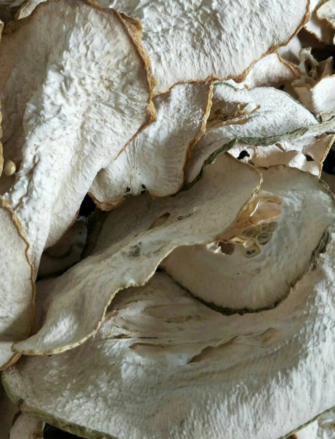 香橼果  香橼干片  佛手干片  可鲜果可烤干