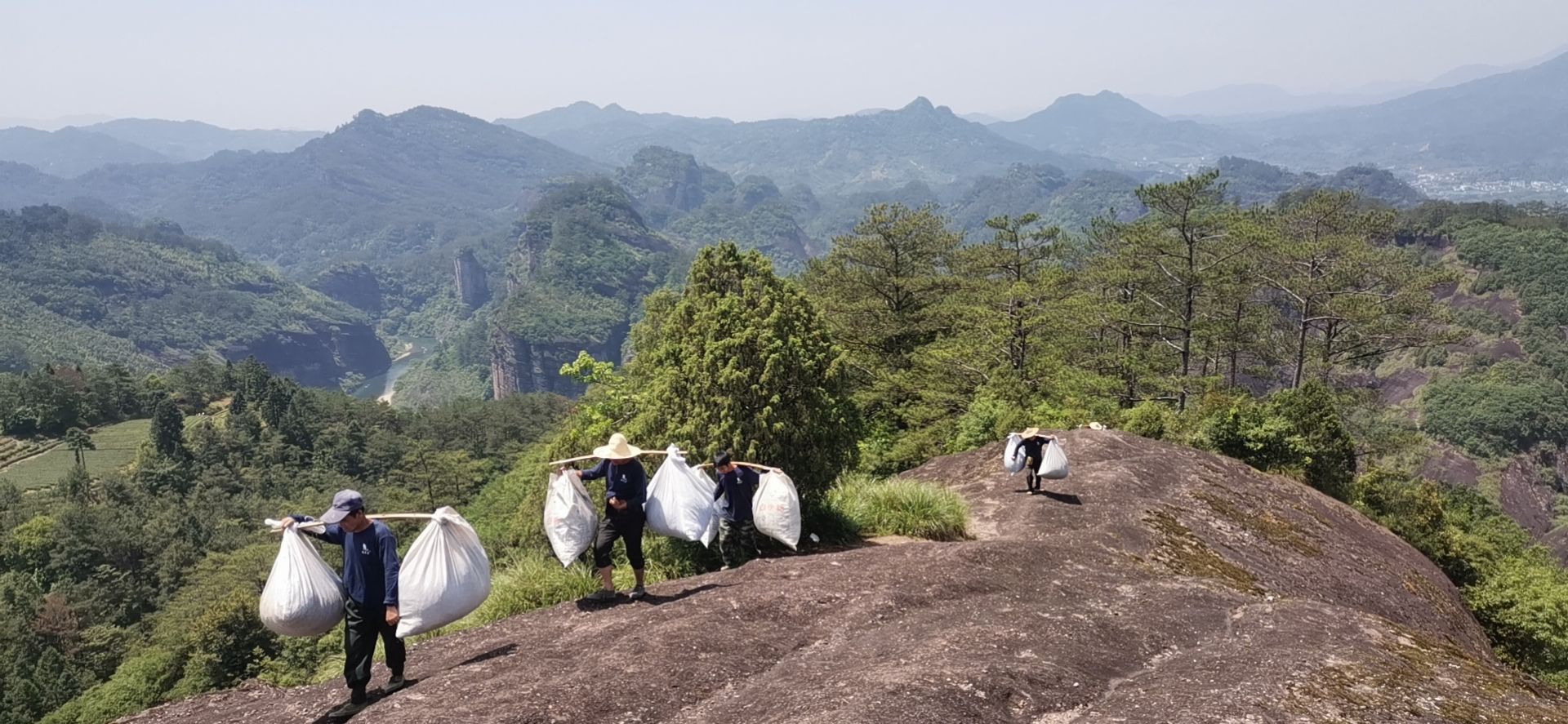 大红袍  厂家直销，原产地址发货