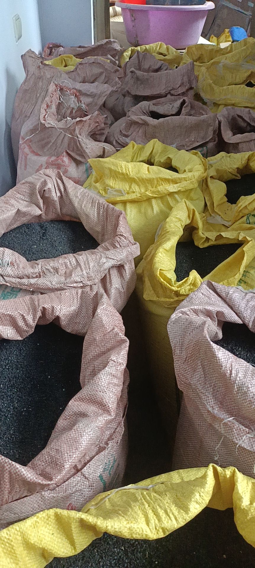  临沂河西洋葱种子