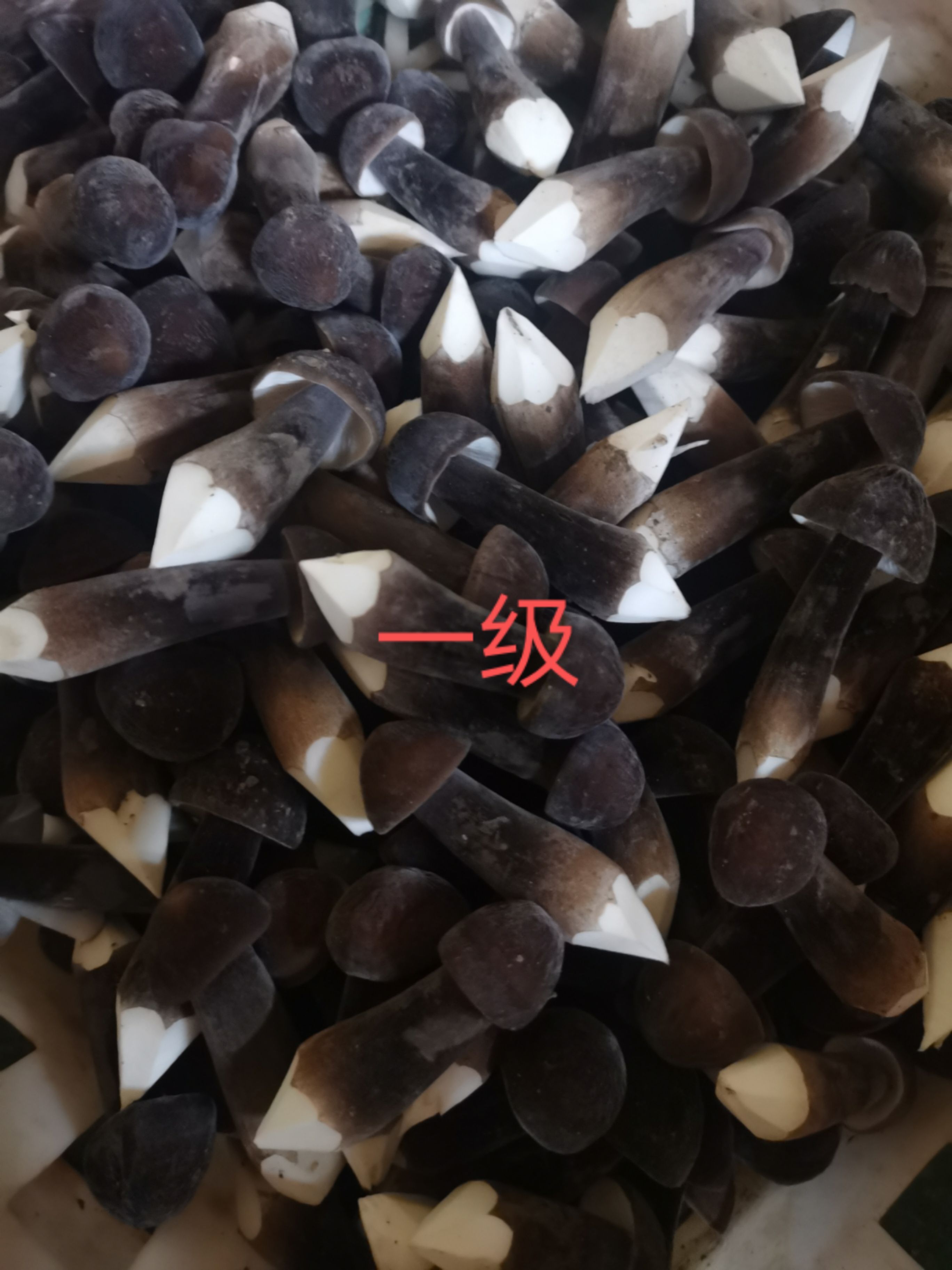 联盛黑皮鸡枞菌出菇菌包基地直供长年供应技术指导