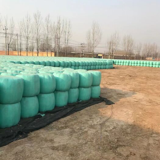 邱县青储草  优质黄储玉米秸秆