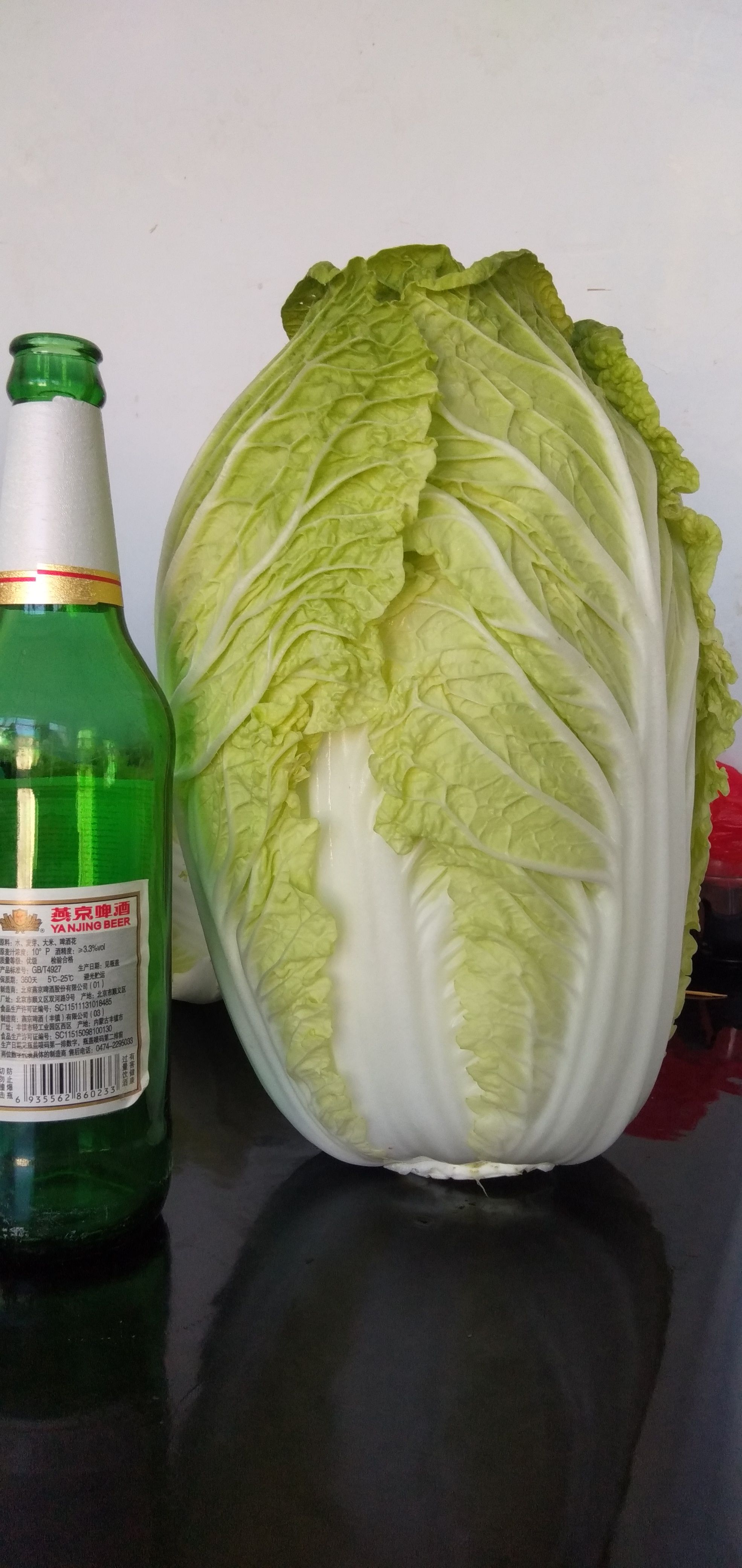 黄心大白菜 河北省张家口市蔚县