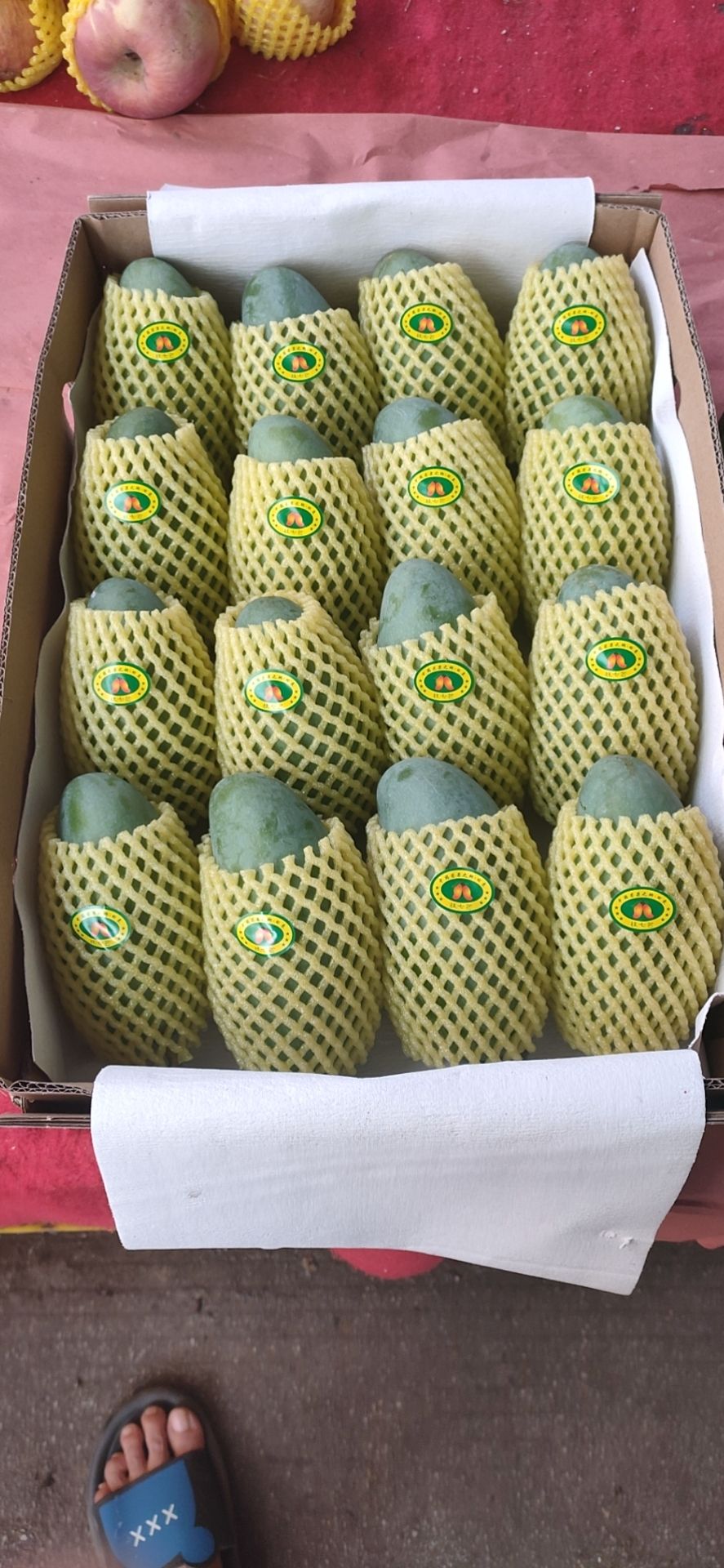  广西桂七香芒，一个让全世界都赞叹的芒果，号称芒果**