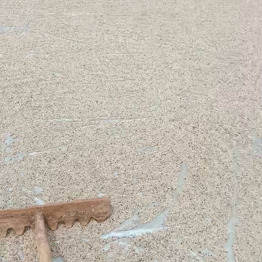 海口胡椒 海南白胡椒