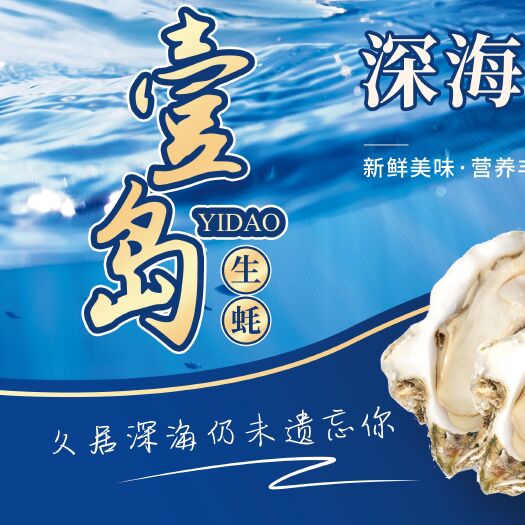 漳浦县珍珠蚝  福建生蚝小包装，伴手礼