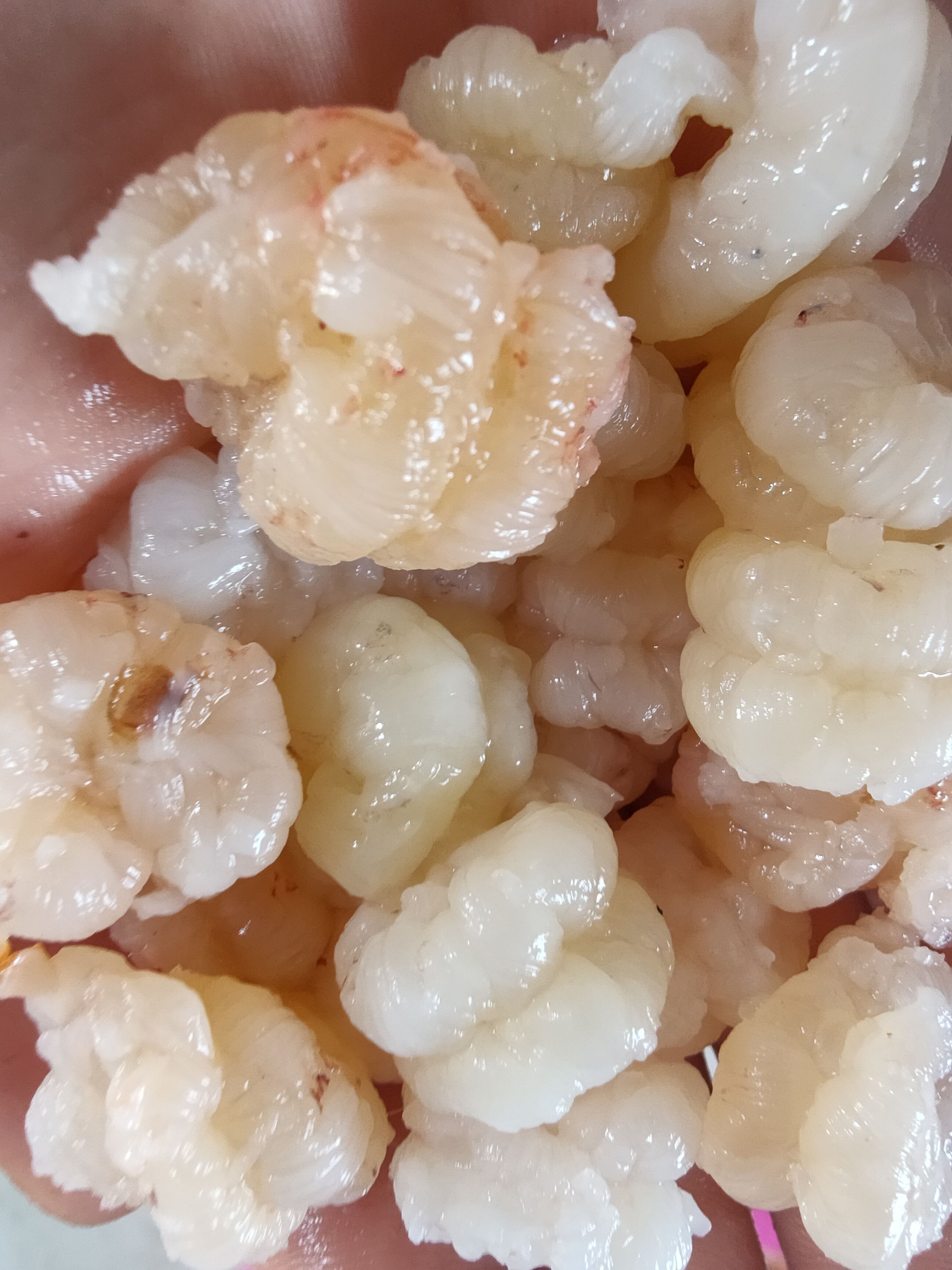 鲜龙虾仁不包冰一斤就是一斤足斤足两