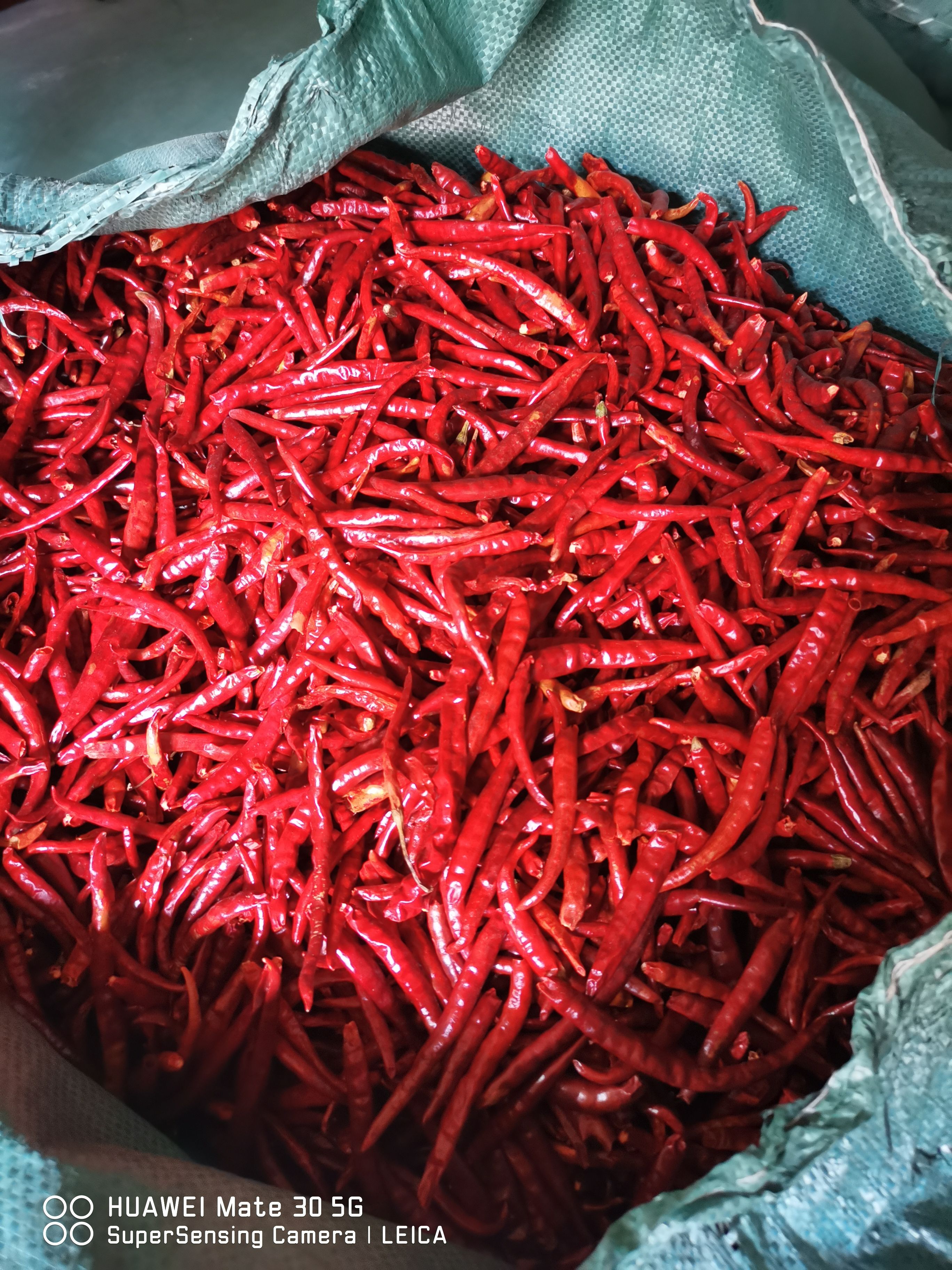 丘北干辣椒  山地丘北椒，自然风干，产地直销，全国发货