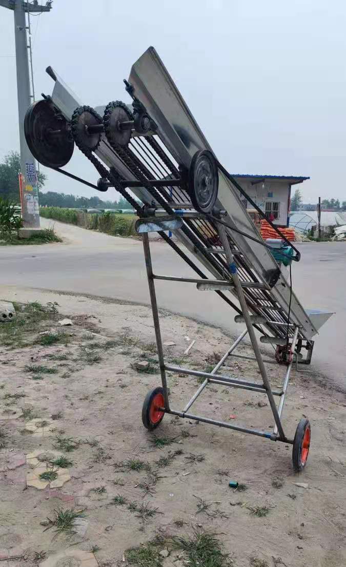 输送机 一年 商丘飞机械厂家